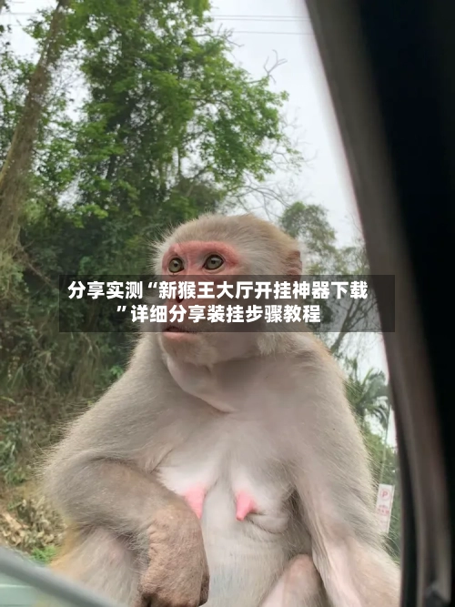 分享实测“新猴王大厅开挂神器下载”详细分享装挂步骤教程