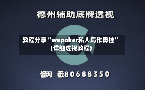 教程分享“wepoker私人局作弊挂	”(详细透视教程)-第2张图片