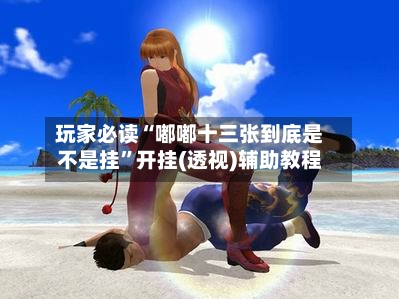 玩家必读“嘟嘟十三张到底是不是挂	”开挂(透视)辅助教程-第2张图片