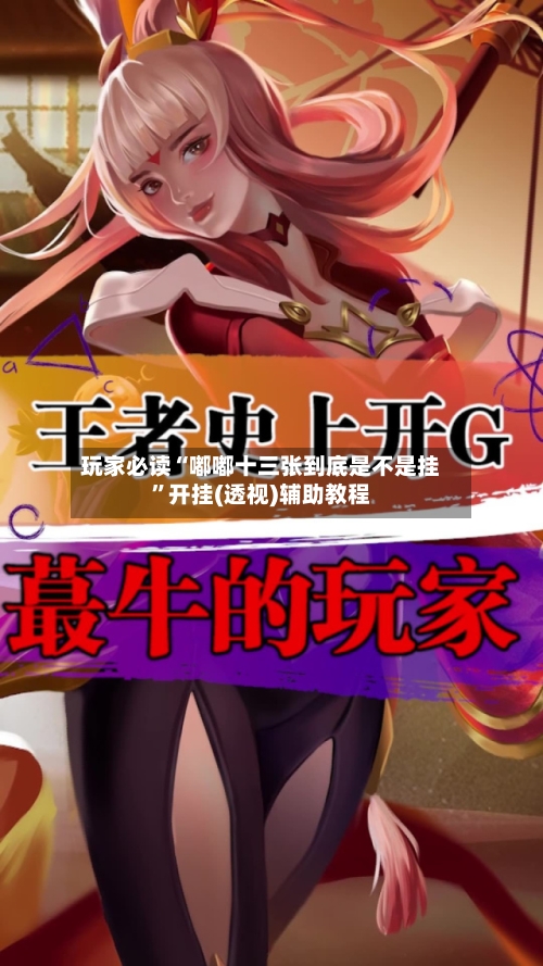 玩家必读“嘟嘟十三张到底是不是挂”开挂(透视)辅助教程-第3张图片