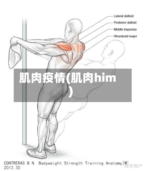 肌肉疫情(肌肉him)