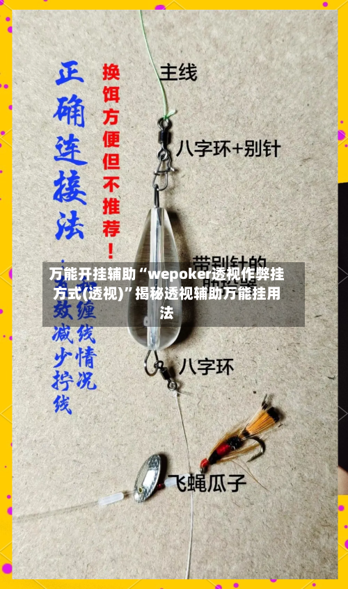 万能开挂辅助“wepoker透视作弊挂方式(透视)	”揭秘透视辅助万能挂用法-第2张图片
