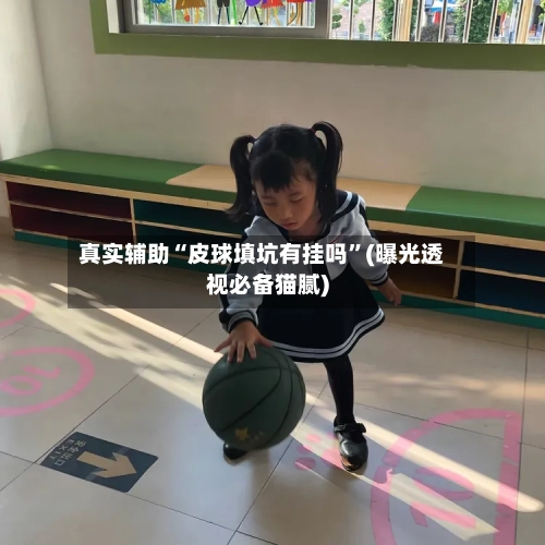 真实辅助“皮球填坑有挂吗”(曝光透视必备猫腻)-第2张图片