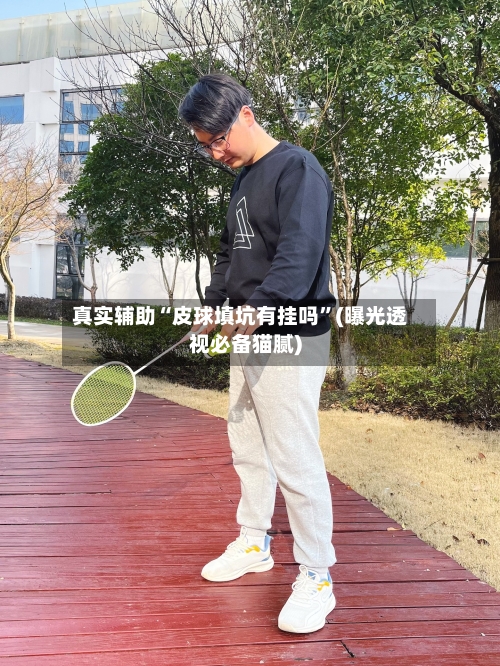 真实辅助“皮球填坑有挂吗”(曝光透视必备猫腻)