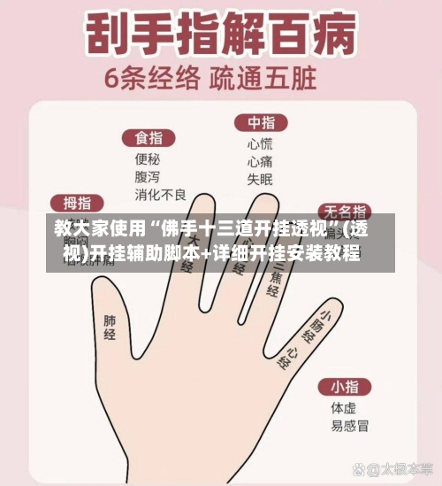 教大家使用“佛手十三道开挂透视”(透视)开挂辅助脚本+详细开挂安装教程-第2张图片