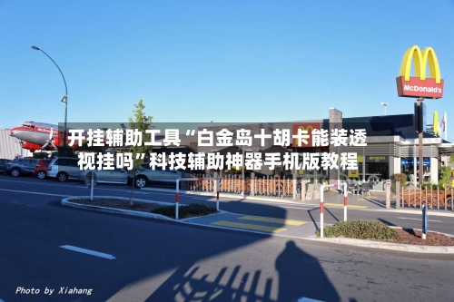 开挂辅助工具“白金岛十胡卡能装透视挂吗”科技辅助神器手机版教程