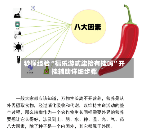 秒懂经验“福乐游贰柒拾有挂吗	”开挂辅助详细步骤-第2张图片