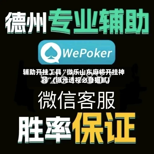 辅助开挂工具“微乐山东麻将开挂神器”(曝光透视必备猫腻)