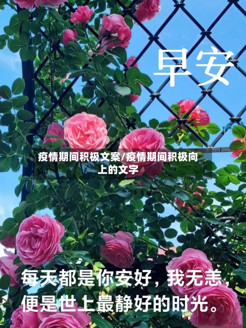 疫情期间积极文案/疫情期间积极向上的文字-第3张图片