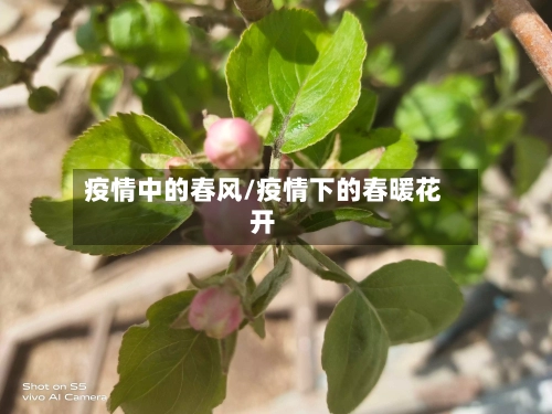 疫情中的春风/疫情下的春暖花开-第2张图片