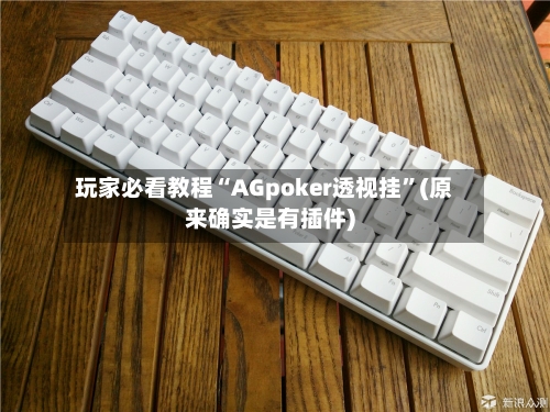 玩家必看教程“AGpoker透视挂”(原来确实是有插件)