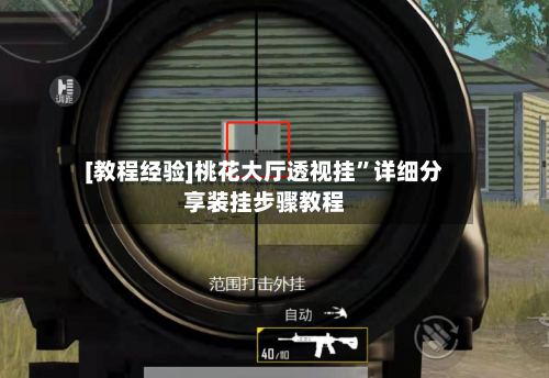 [教程经验]桃花大厅透视挂”详细分享装挂步骤教程