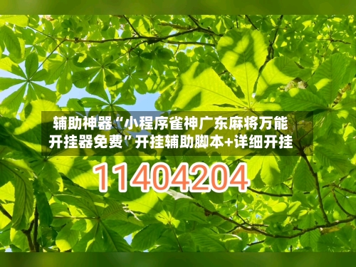 辅助神器“小程序雀神广东麻将万能开挂器免费”开挂辅助脚本+详细开挂-第2张图片