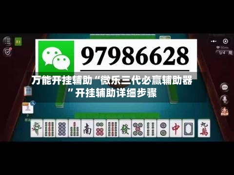 万能开挂辅助“微乐三代必赢辅助器”开挂辅助详细步骤-第2张图片