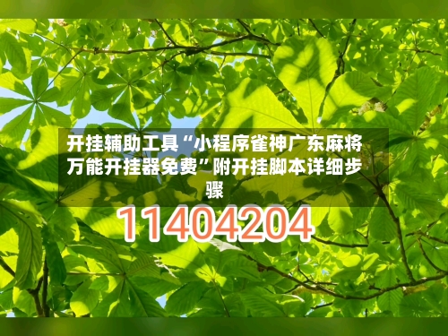 开挂辅助工具“小程序雀神广东麻将万能开挂器免费”附开挂脚本详细步骤