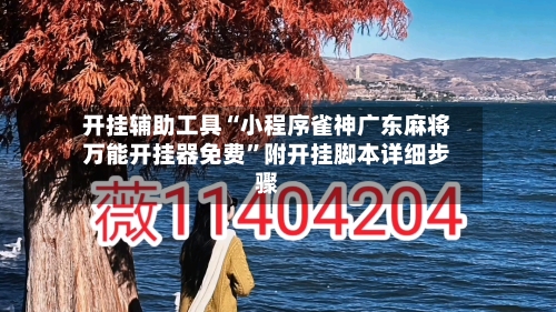 开挂辅助工具“小程序雀神广东麻将万能开挂器免费”附开挂脚本详细步骤-第2张图片