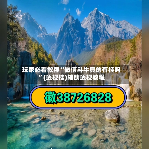 玩家必看教程“微信斗牛真的有挂吗”(透视挂)辅助透视教程