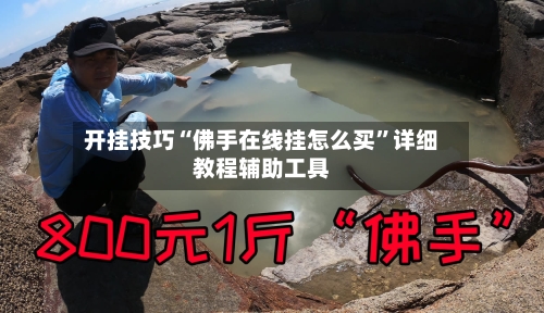 开挂技巧“佛手在线挂怎么买”详细教程辅助工具