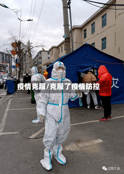疫情克服/克服了疫情防控-第2张图片