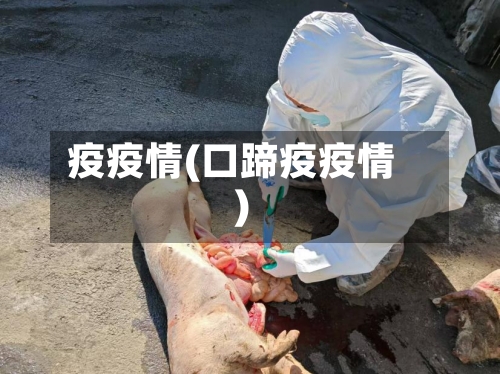 疫疫情(口蹄疫疫情)
