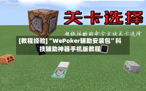 [教程经验]“WePoker辅助安装包	”科技辅助神器手机版教程-第2张图片