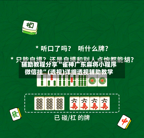 辅助教程分享“雀神广东麻将小程序微信挂”(透视)详细透视辅助教学-第2张图片