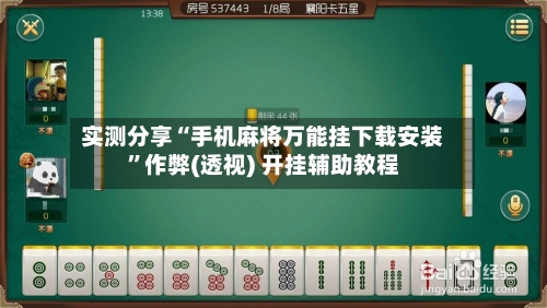 实测分享“手机麻将万能挂下载安装”作弊(透视) 开挂辅助教程-第3张图片