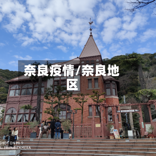 奈良疫情/奈良地区