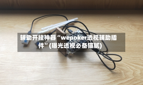 辅助开挂神器“wepoker透视辅助插件”(曝光透视必备猫腻)