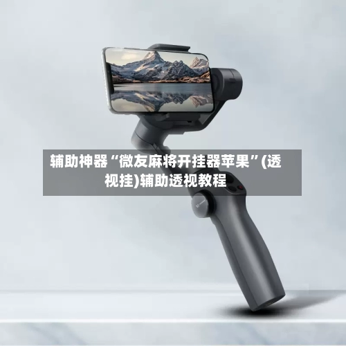 辅助神器“微友麻将开挂器苹果”(透视挂)辅助透视教程-第2张图片