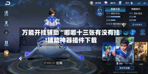 万能开挂辅助“嘟嘟十三张有没有挂!辅助神器插件下载-第2张图片