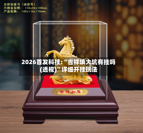 2026首发科技:“吉祥填大坑有挂吗(透视)”详细开挂玩法-第3张图片