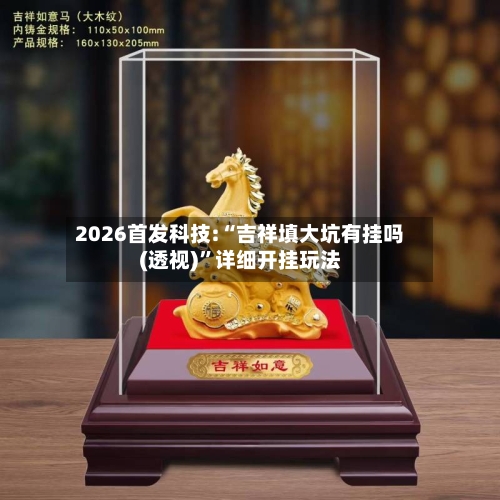 2026首发科技:“吉祥填大坑有挂吗(透视)	”详细开挂玩法-第2张图片