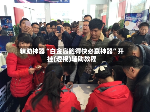 辅助神器“白金岛跑得快必赢神器”开挂(透视)辅助教程-第2张图片