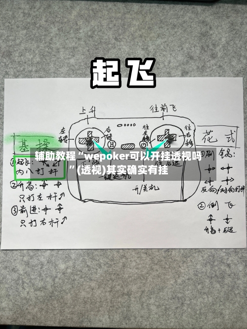 辅助教程“wepoker可以开挂透视吗”(透视)其实确实有挂