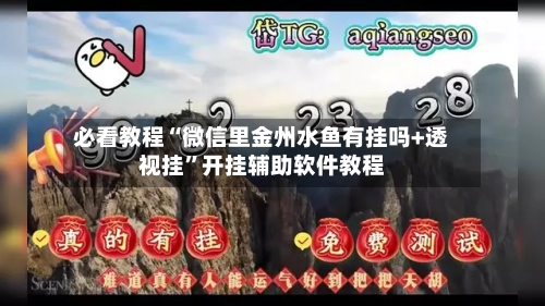 必看教程“微信里金州水鱼有挂吗+透视挂”开挂辅助软件教程-第3张图片