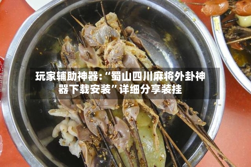 玩家辅助神器:“蜀山四川麻将外卦神器下载安装”详细分享装挂