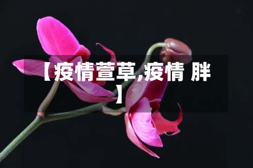 【疫情萱草,疫情 胖】-第2张图片