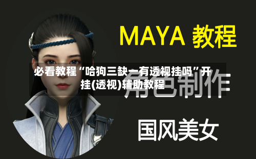 必看教程“哈狗三缺一有透视挂吗”开挂(透视)辅助教程-第2张图片