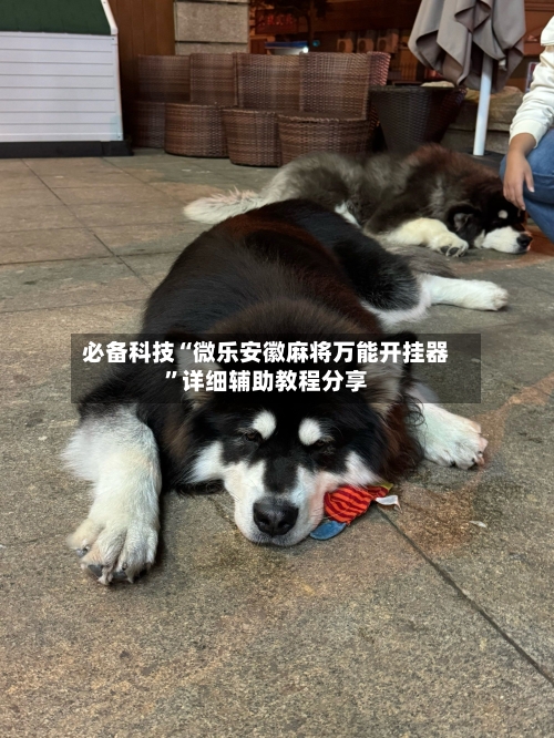 必备科技“微乐安徽麻将万能开挂器”详细辅助教程分享