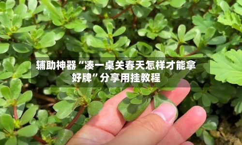 辅助神器“凑一桌关春天怎样才能拿好牌”分享用挂教程