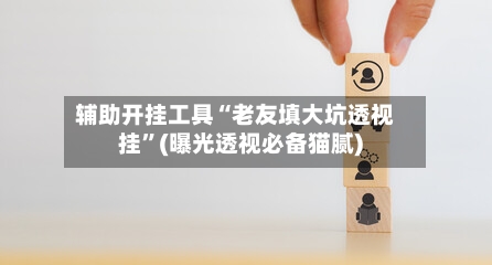 辅助开挂工具“老友填大坑透视挂	”(曝光透视必备猫腻)-第2张图片