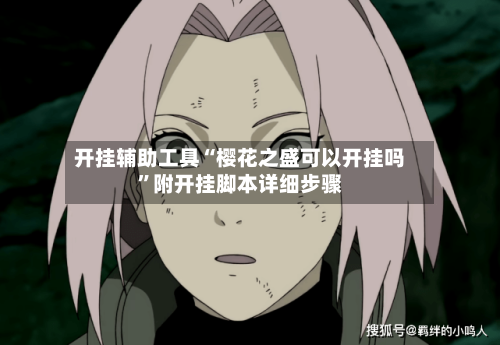 开挂辅助工具“樱花之盛可以开挂吗”附开挂脚本详细步骤