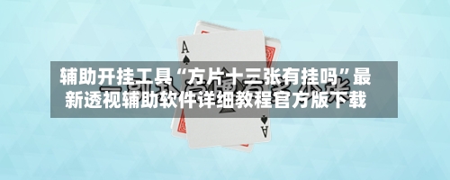 辅助开挂工具“方片十三张有挂吗”最新透视辅助软件详细教程官方版下载-第2张图片