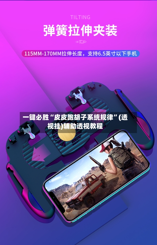 一键必胜“皮皮跑胡子系统规律”(透视挂)辅助透视教程