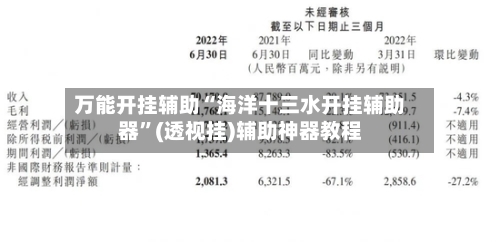 万能开挂辅助“海洋十三水开挂辅助器	”(透视挂)辅助神器教程-第2张图片