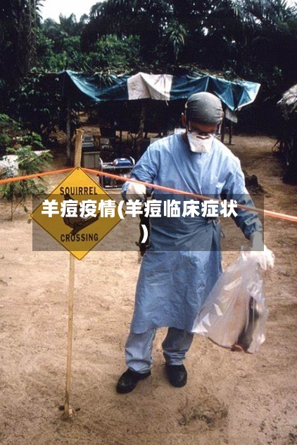 羊痘疫情(羊痘临床症状)