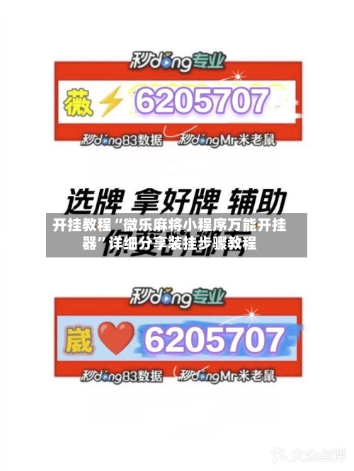 开挂教程“微乐麻将小程序万能开挂器	”详细分享装挂步骤教程-第2张图片