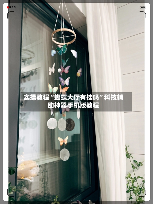 实操教程“蝴蝶大厅有挂吗”科技辅助神器手机版教程