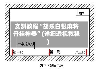 实测教程“胡乐白银麻将开挂神器”(详细透视教程)